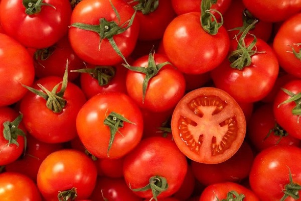 cách chọn cà chua