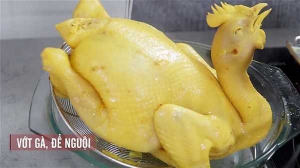 da gà có màu vàng đẹp mắt